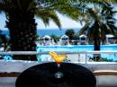 BIANCO OLYMPICO BEACH RESORT 4*-Снимка12