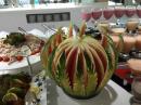 DUJA DIDIM 5*-Снимка15 DUJA DIDIM 5*-Снимка15