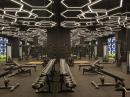 MAXX ROYAL KEMER RESORT 5 *-Снимка20
