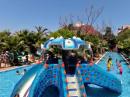 DELPHIN PALACE 5 *-Снимка6