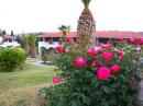 MACEDONIAN SUN HOTEL 3 *-Снимка9